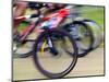 Mountain Bike Race, Bannockburn, near Cromwell, Central Otago, South Island, New Zealand-David Wall-Mounted Photographic Print