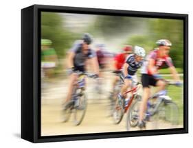 Mountain Bike Race, Bannockburn, near Cromwell, Central Otago, South Island, New Zealand-David Wall-Framed Stretched Canvas