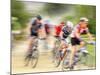 Mountain Bike Race, Bannockburn, near Cromwell, Central Otago, South Island, New Zealand-David Wall-Mounted Photographic Print