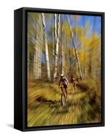 Mountain Bike Race, Methow Valley, Washington State, USA-David Barnes-Framed Stretched Canvas