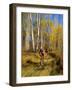 Mountain Bike Race, Methow Valley, Washington State, USA-David Barnes-Framed Photographic Print