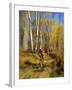 Mountain Bike Race, Methow Valley, Washington State, USA-David Barnes-Framed Photographic Print