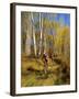 Mountain Bike Race, Methow Valley, Washington State, USA-David Barnes-Framed Photographic Print