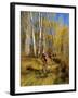 Mountain Bike Race, Methow Valley, Washington State, USA-David Barnes-Framed Photographic Print