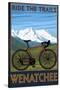 Mountain Bike Scene - Wenatchee, WA-Lantern Press-Stretched Canvas