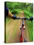 Mountain Bike Trail Riding-Chuck Haney-Stretched Canvas