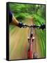 Mountain Bike Trail Riding-Chuck Haney-Framed Stretched Canvas