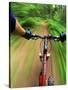 Mountain Bike Trail Riding-Chuck Haney-Stretched Canvas