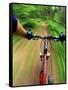 Mountain Bike Trail Riding-Chuck Haney-Framed Stretched Canvas