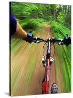 Mountain Bike Trail Riding-Chuck Haney-Stretched Canvas