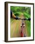 Mountain Bike Trail Riding-Chuck Haney-Framed Photographic Print