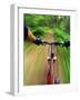 Mountain Bike Trail Riding-Chuck Haney-Framed Photographic Print