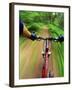 Mountain Bike Trail Riding-Chuck Haney-Framed Photographic Print