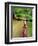 Mountain Bike Trail Riding-Chuck Haney-Framed Photographic Print