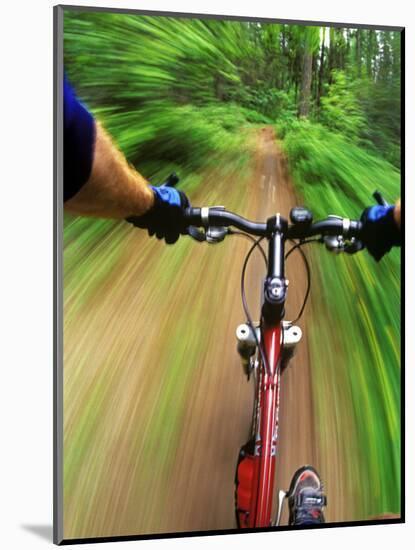 Mountain Bike Trail Riding-Chuck Haney-Mounted Photographic Print