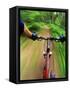 Mountain Bike Trail Riding-Chuck Haney-Framed Stretched Canvas