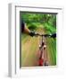 Mountain Bike Trail Riding-Chuck Haney-Framed Premium Photographic Print