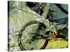 Mountain Bike-Sisa Jasper-Stretched Canvas