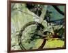 Mountain Bike-Sisa Jasper-Framed Art Print