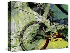 Mountain Bike-Sisa Jasper-Stretched Canvas