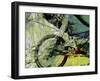 Mountain Bike-Sisa Jasper-Framed Art Print