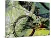 Mountain Bike-Sisa Jasper-Stretched Canvas