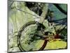 Mountain Bike-Sisa Jasper-Mounted Art Print