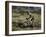 Mountain Biker Against a Blurry Background, Mt. Bike-Michael Brown-Framed Photographic Print