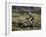 Mountain Biker Against a Blurry Background, Mt. Bike-Michael Brown-Framed Photographic Print