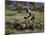 Mountain Biker Against a Blurry Background, Mt. Bike-Michael Brown-Mounted Photographic Print