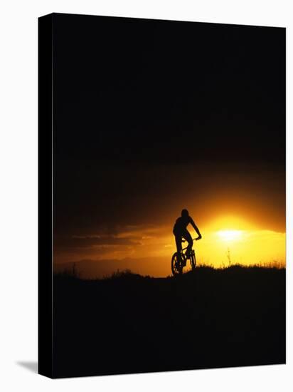 Mountain Biker Against Stormy Sunset, Fruita, Colorado, USA-Chuck Haney-Stretched Canvas