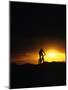 Mountain Biker Against Stormy Sunset, Fruita, Colorado, USA-Chuck Haney-Mounted Photographic Print