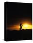 Mountain Biker Against Stormy Sunset, Fruita, Colorado, USA-Chuck Haney-Stretched Canvas