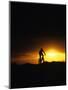 Mountain Biker Against Stormy Sunset, Fruita, Colorado, USA-Chuck Haney-Mounted Photographic Print