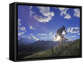 Mountain Biker at Sunset, Canmore, Alberta, Canada-Chuck Haney-Framed Stretched Canvas