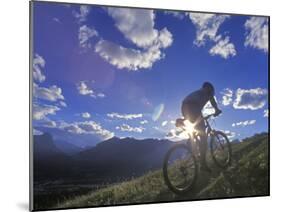 Mountain Biker at Sunset, Canmore, Alberta, Canada-Chuck Haney-Mounted Photographic Print