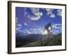 Mountain Biker at Sunset, Canmore, Alberta, Canada-Chuck Haney-Framed Photographic Print