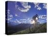 Mountain Biker at Sunset, Canmore, Alberta, Canada-Chuck Haney-Stretched Canvas