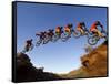 Mountain Biker Catches Air at Rampage Site near Virgin, Utah, USA-Chuck Haney-Framed Stretched Canvas