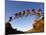 Mountain Biker Catches Air at Rampage Site near Virgin, Utah, USA-Chuck Haney-Mounted Premium Photographic Print