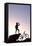 Mountain Biker, Grindelwald, Bernese Oberland, Switzerland (Mr)-Norbert Eisele-Hein-Framed Stretched Canvas
