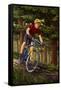 Mountain Biker in Trees-Lantern Press-Framed Stretched Canvas