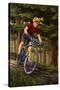 Mountain Biker in Trees-Lantern Press-Stretched Canvas