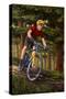 Mountain Biker in Trees-Lantern Press-Stretched Canvas