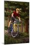 Mountain Biker in Trees-Lantern Press-Mounted Art Print