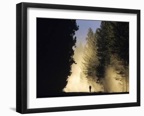 Mountain Biker on a Dusty Road, Swan Valley, Montana, USA-Chuck Haney-Framed Premium Photographic Print