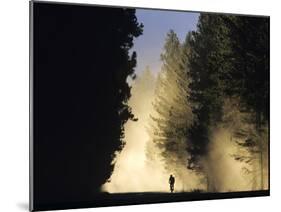 Mountain Biker on a Dusty Road, Swan Valley, Montana, USA-Chuck Haney-Mounted Photographic Print