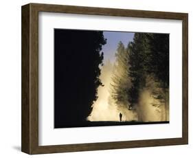 Mountain Biker on a Dusty Road, Swan Valley, Montana, USA-Chuck Haney-Framed Photographic Print