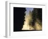 Mountain Biker on a Dusty Road, Swan Valley, Montana, USA-Chuck Haney-Framed Photographic Print