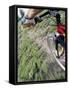 Mountain Biker on a Trail-null-Framed Stretched Canvas